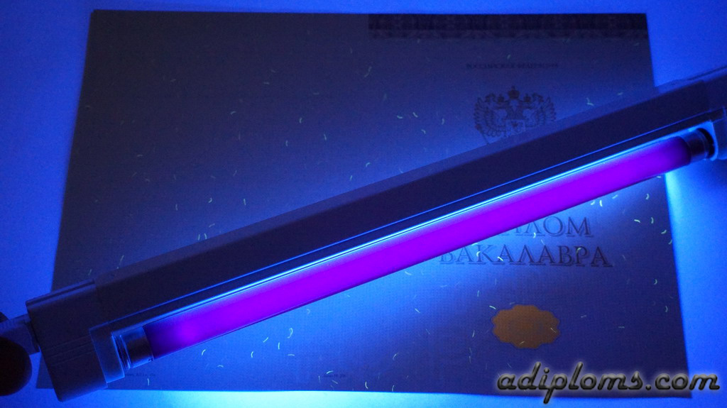 Диплом бакалавра 2014-2024 Фото Диплом бакалавра 2014-2024 Фото