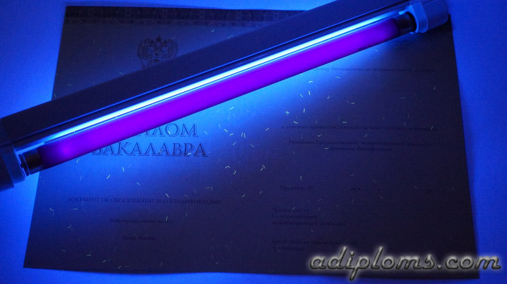 Диплом бакалавра 2014-2024 Фото Диплом бакалавра 2014-2024 Фото