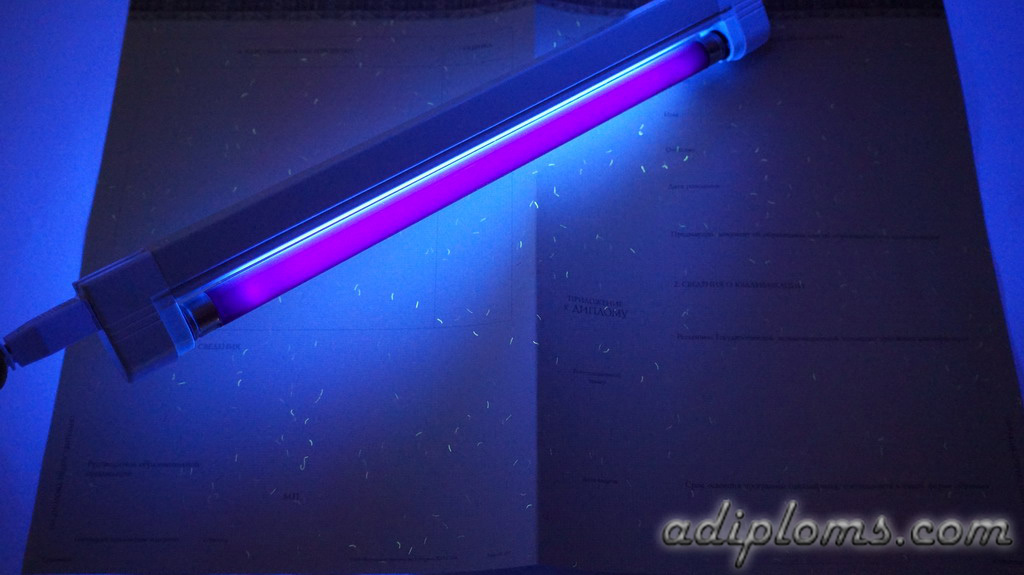 Диплом бакалавра 2014-2024 Фото Диплом бакалавра 2014-2024 Фото