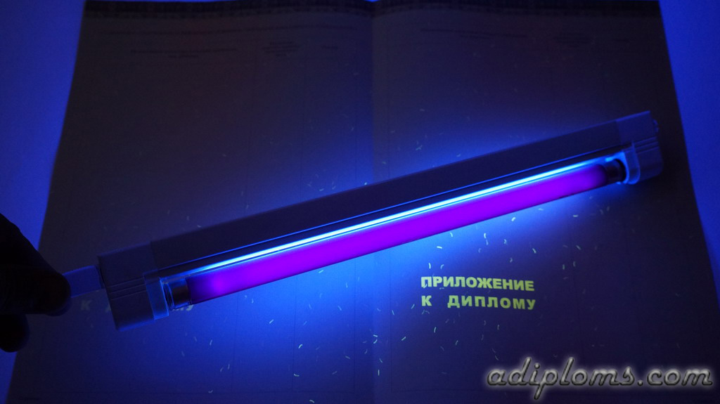 Диплом бакалавра 2014-2024 Фото Диплом бакалавра 2014-2024 Фото