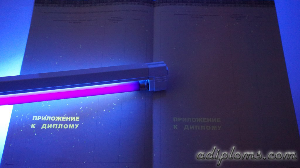 Диплом бакалавра 2014-2024 Фото Диплом бакалавра 2014-2024 Фото