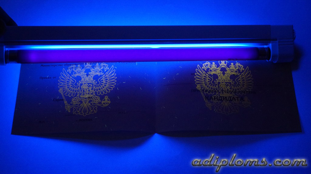 Диплом кандидата наук Фото Диплом кандидата наук Фото