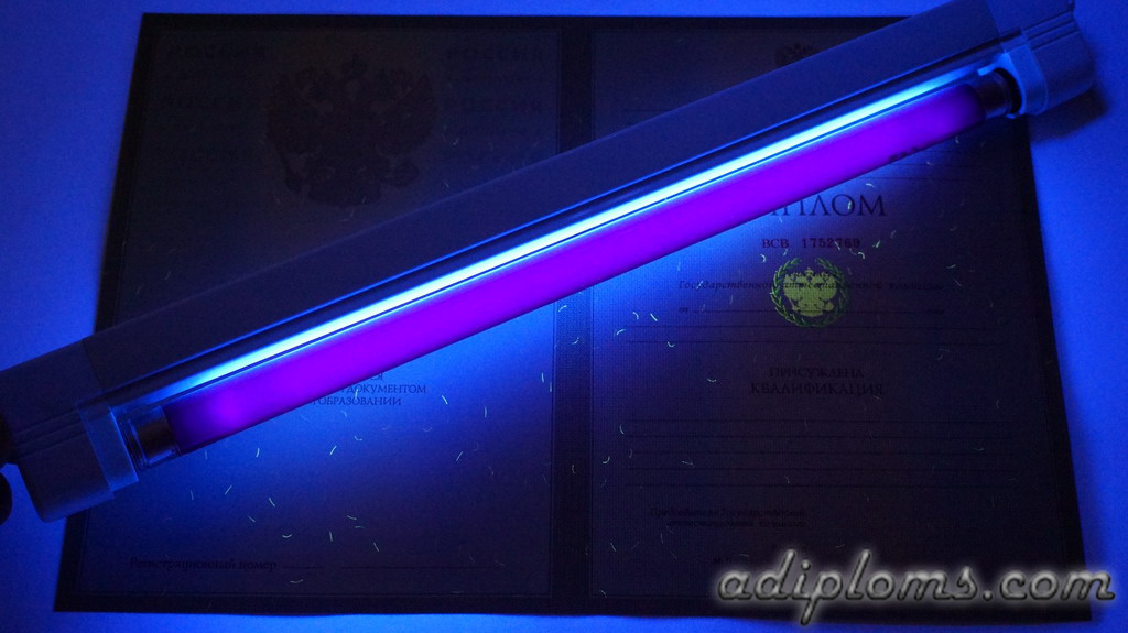 Диплом специалиста 2004-2008 Фото Диплом специалиста 2004-2008 Фото