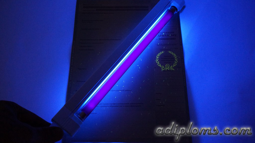 Диплом специалиста 2004-2008 Фото Диплом специалиста 2004-2008 Фото