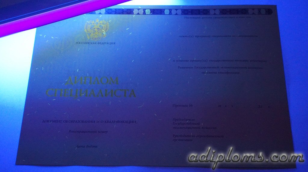 Диплом специалиста 2014-2024 Фото