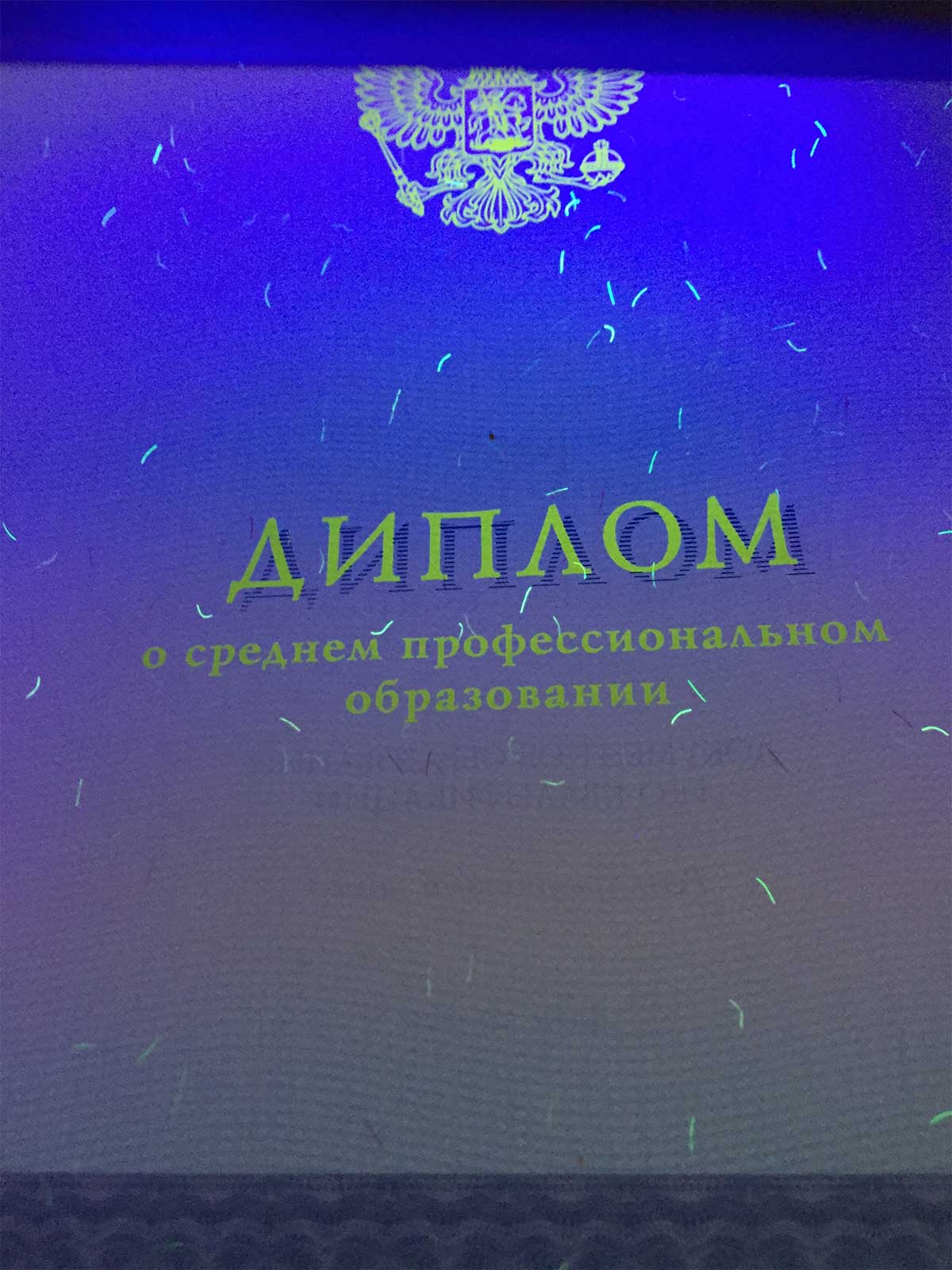 Диплом техникума, колледжа 2014-2024 Фото Диплом техникума, колледжа 2014-2024 Фото